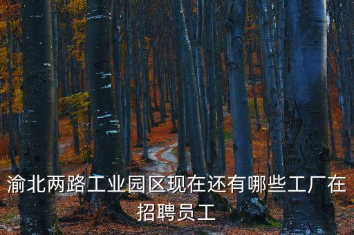重慶市渝北區港通大道廠區招聘，2012一月份有工廠招工嗎普工