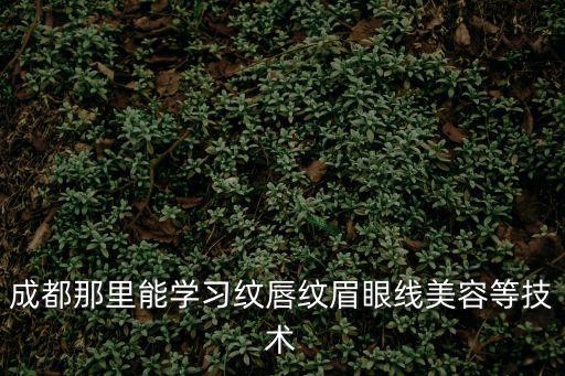 成都那里能學(xué)習(xí)紋唇紋眉眼線美容等技術(shù)