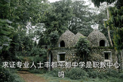 求證專業人士豐都平都中學是職教中心嗎