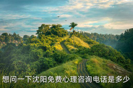 想問一下沈陽免費心理咨詢電話是多少