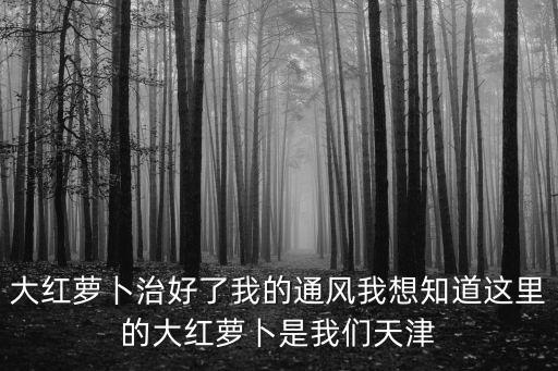大紅蘿卜治好了我的通風(fēng)我想知道這里的大紅蘿卜是我們天津