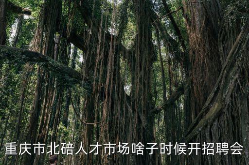 重慶市北碚區(qū)2020赴高校招聘，重慶北碚人才交流中心在哪里