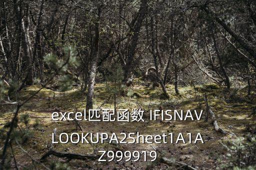 excel匹配函數 IFISNAVLOOKUPA2Sheet1A1AZ999919