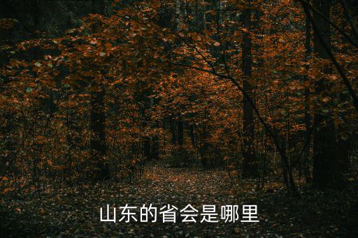 山東的省會是哪里