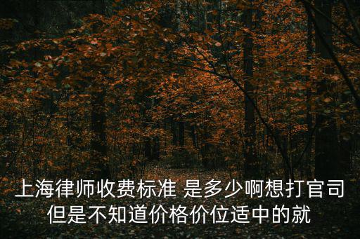 上海法律咨詢中心收費標準，上海律師費用收取標準律師費是多少