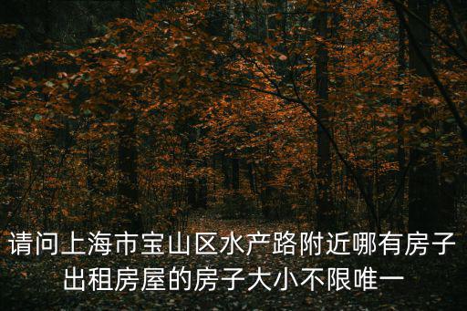 請問上海市寶山區水產路附近哪有房子出租房屋的房子大小不限唯一