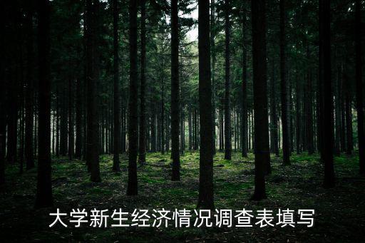 大學(xué)新生經(jīng)濟(jì)情況調(diào)查表填寫