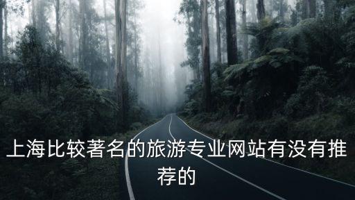 上海比較著名的旅游專業(yè)網(wǎng)站有沒有推薦的