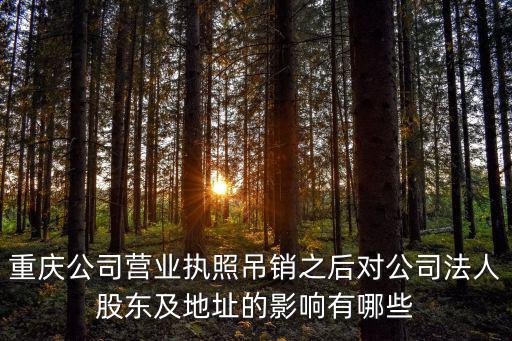 重慶公司營業執照吊銷之后對公司法人股東及地址的影響有哪些