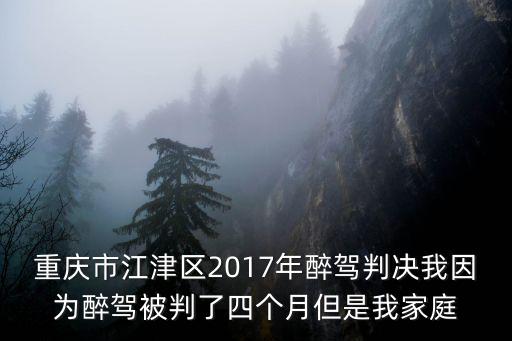 重慶市江津區丁勇，重慶市江津區2003年的區長是誰