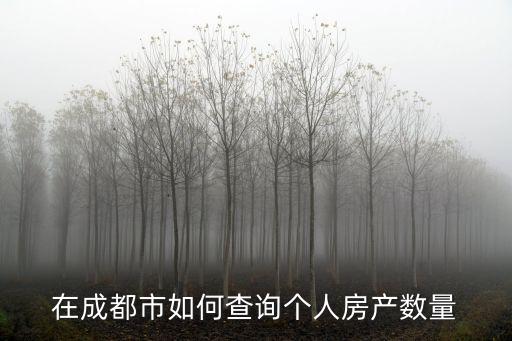 成都市怎么查詢名下有幾套房產(chǎn)證，查名下有幾套房在哪里查