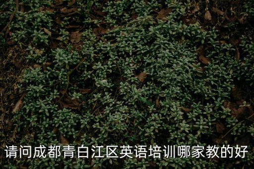 請問成都青白江區英語培訓哪家教的好