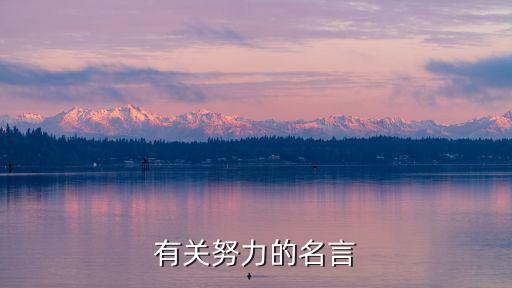 有關(guān)努力的名言