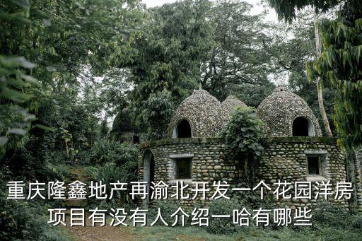 重慶隆鑫地產(chǎn)再渝北開發(fā)一個花園洋房項目有沒有人介紹一哈有哪些