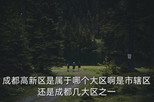 成都高新區(qū)是屬于哪個大區(qū)啊是市轄區(qū)還是成都幾大區(qū)之一