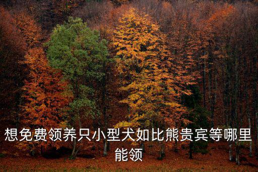 想免費領養只小型犬如比熊貴賓等哪里能領