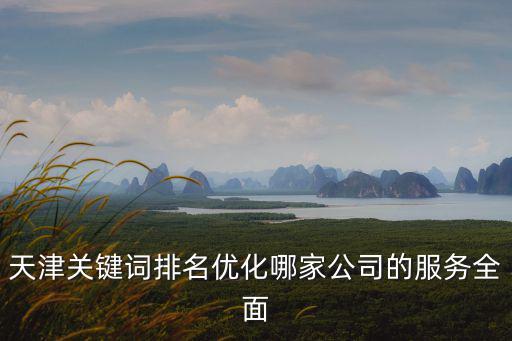 天津關鍵詞排名優(yōu)化哪家公司的服務全面
