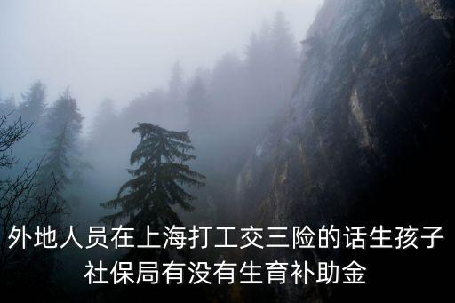 上海代繳社保能領生育津貼嗎，外地人在上海交社保可以拿生育金嗎