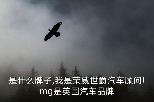 mg是什么牌子,我是榮威世爵汽車顧問!mg是英國汽車品牌