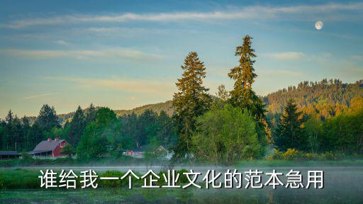 誰給我一個企業(yè)文化的范本急用