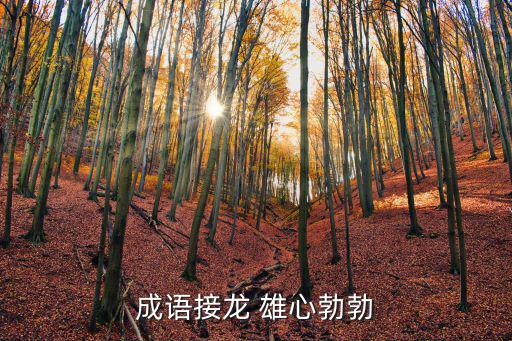 雄心勃勃,朝氣勃勃形容人們斗志昂揚
