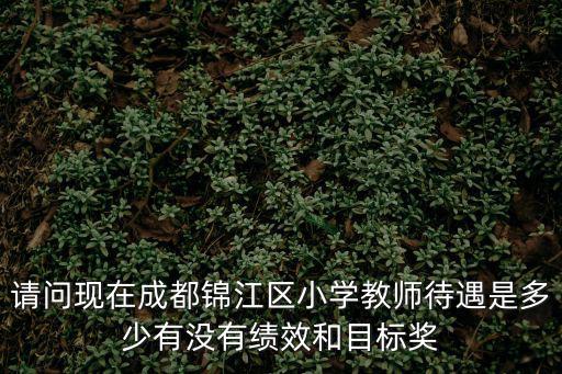 請(qǐng)問現(xiàn)在成都錦江區(qū)小學(xué)教師待遇是多少有沒有績效和目標(biāo)獎(jiǎng)