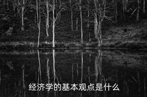 理論經濟學,科學經濟學理論反映經濟發展規律內容豐富