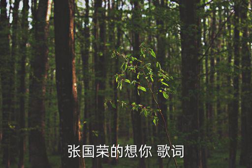 張國榮的想你 歌詞