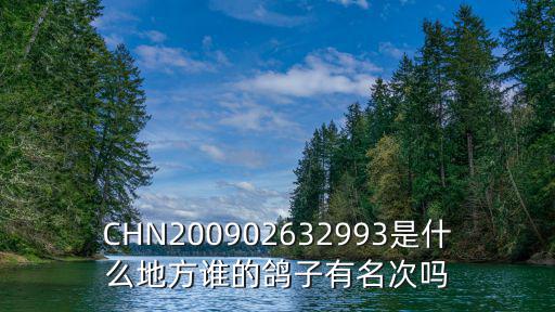 CHN200902632993是什么地方誰的鴿子有名次嗎