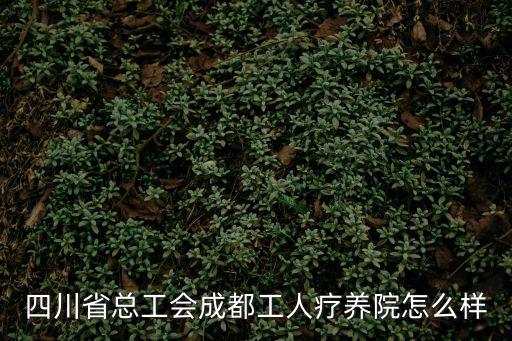 成都市總工會勞模，全國總工會對勞模有什么政策