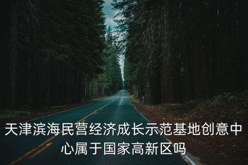 天津市民營經濟發展工作會議，天津濱海民營經濟成長示范基地創意中心屬于國家高新區嗎
