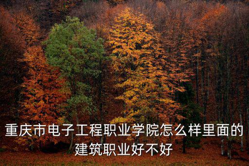 重慶市電子工程職業(yè)學(xué)院怎么樣里面的建筑職業(yè)好不好
