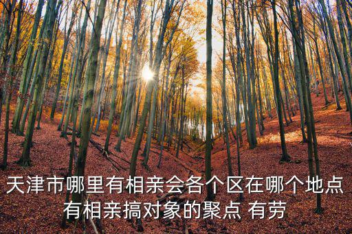 天津市哪里有相親會各個區在哪個地點有相親搞對象的聚點 有勞