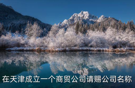 在天津成立一個商貿公司請賜公司名稱