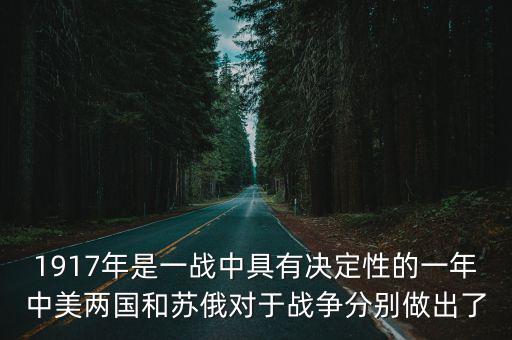 1917年是一戰(zhàn)中具有決定性的一年中美兩國和蘇俄對于戰(zhàn)爭分別做出了