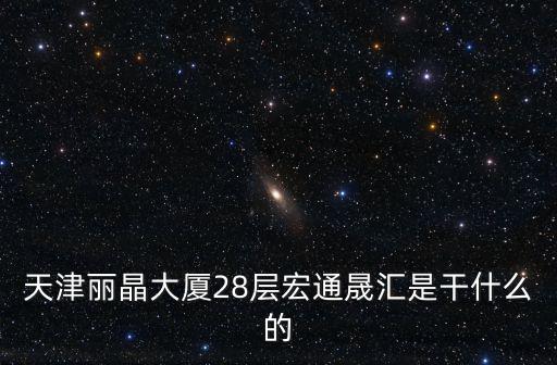 天津麗晶大廈28層宏通晟匯是干什么的
