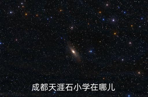成都天涯石小學在哪兒