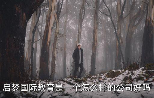 啟夢國際教育是一個怎么樣的公司好嗎