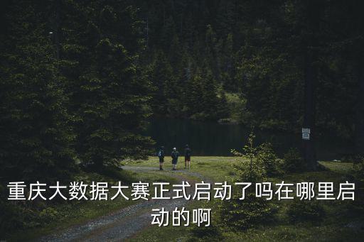 重慶大數據大賽正式啟動了嗎在哪里啟動的啊
