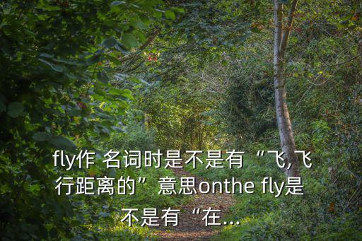 fly名詞,飛機也叫飛機?中文翻譯:flys