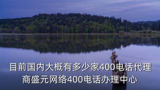 400電話代理公司，目前國內大概有多少家400電話代理商盛元網絡400電話辦理中心