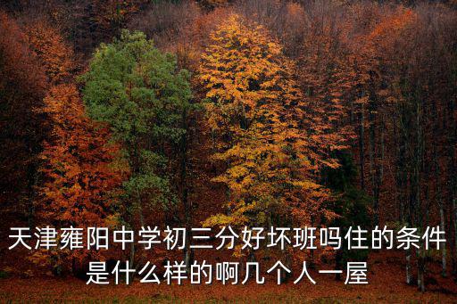 天津市雍陽賽鴿俱樂部，天津雍陽中學初三分好壞班嗎住的條件是什么樣的啊幾個人一屋