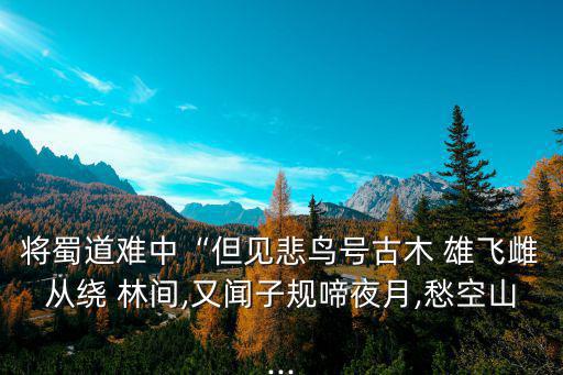 雄飛雌從繞林間,烏鴉夜月引自簡丹排比句反映現象