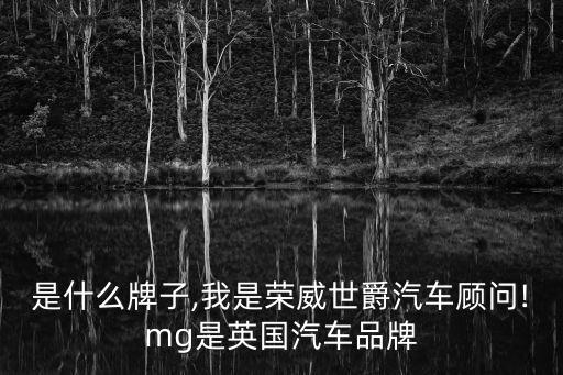是什么牌子,我是榮威世爵汽車顧問!mg是英國汽車品牌