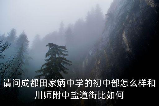請問成都田家炳中學的初中部怎么樣和川師附中鹽道街比如何