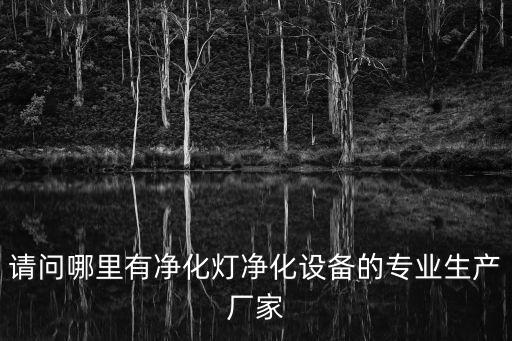請問哪里有凈化燈凈化設備的專業生產廠家