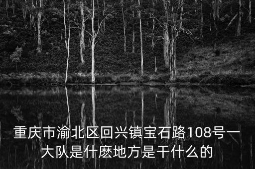 重慶市渝北區回興鎮寶石路108號一大隊是什麼地方是干什么的