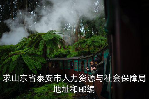 市政大樓 郵編，求山東省泰安市人力資源與社會保障局地址和郵編