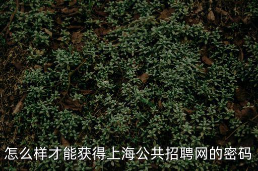 怎么樣才能獲得上海公共招聘網的密碼
