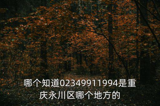 重慶市永川區幸福村，我想知道永川在重慶的那個地方